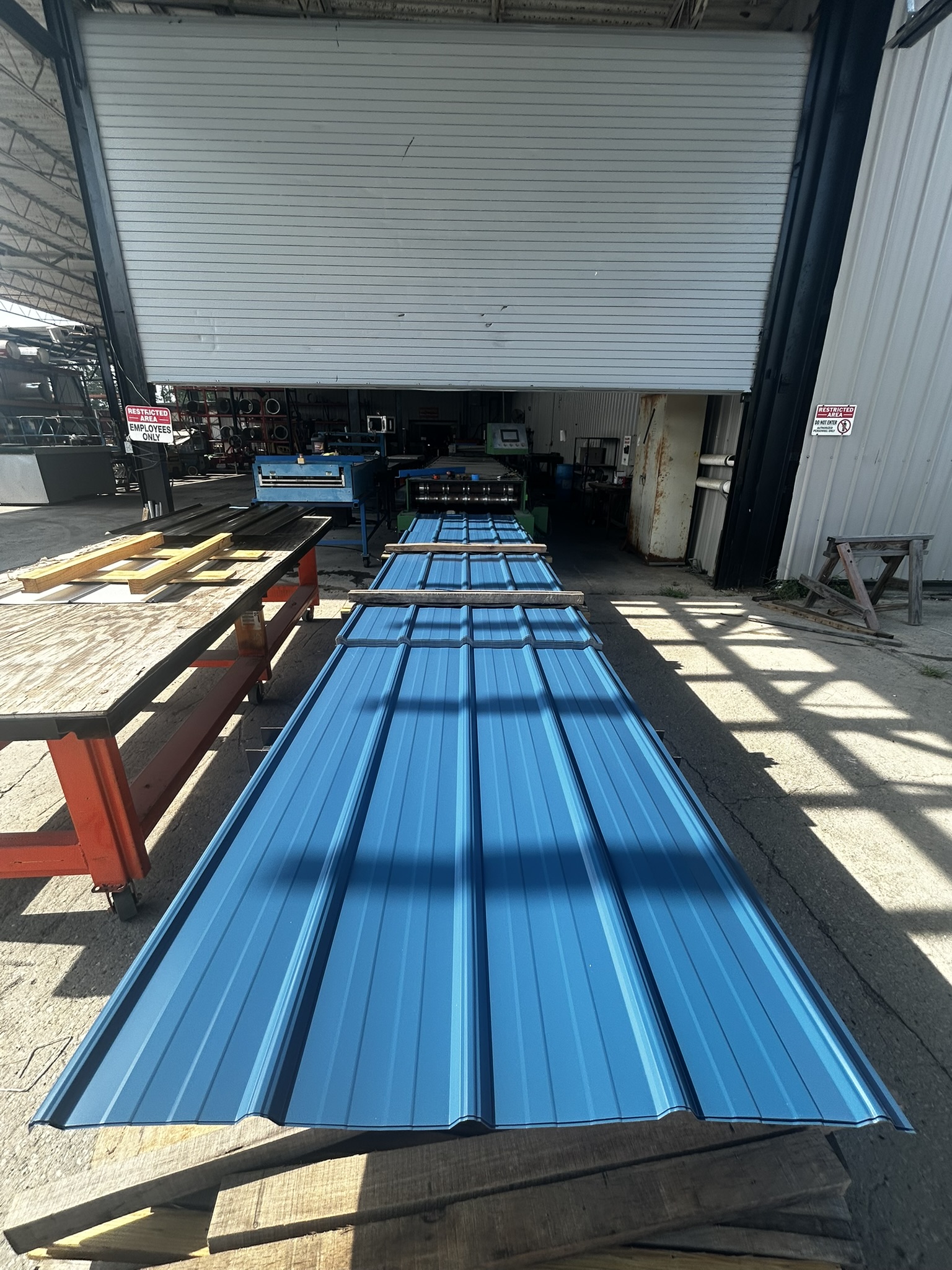 Hawaiian Blue Master Rib