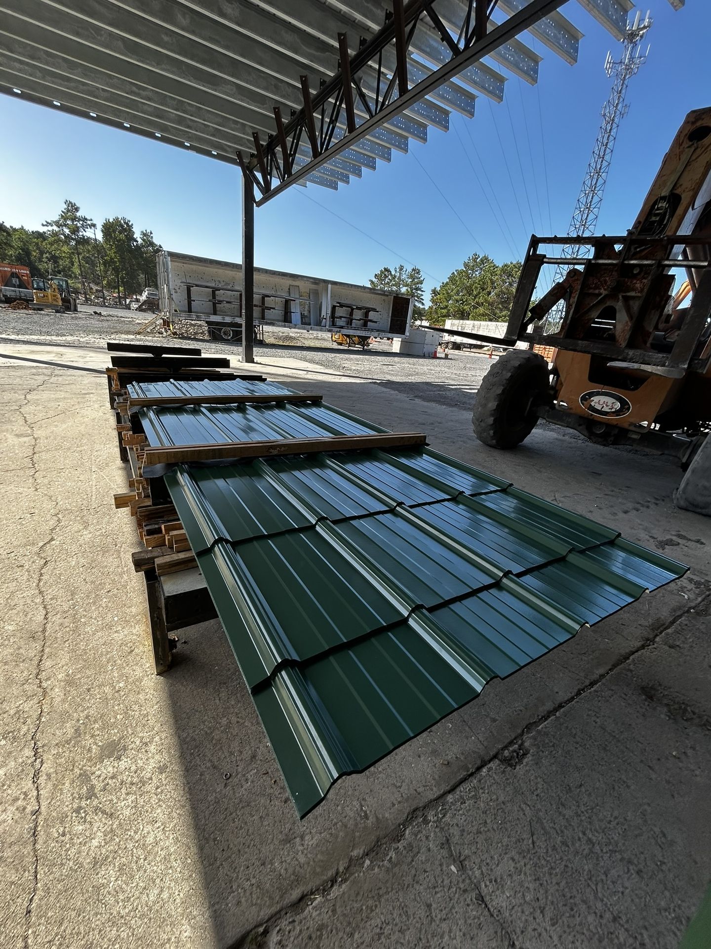 Ivy Green Master Rib