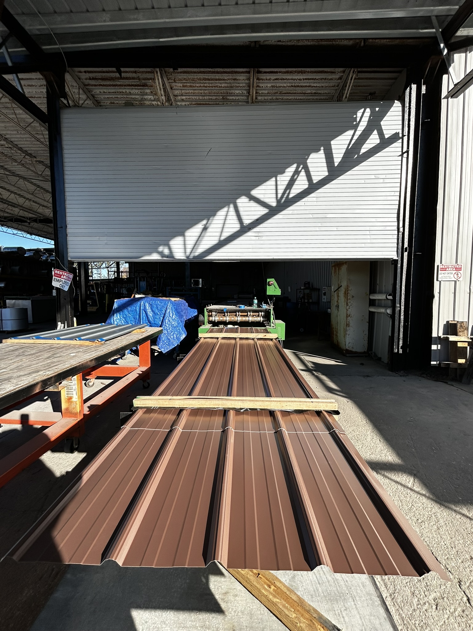 Koko Brown Master Rib